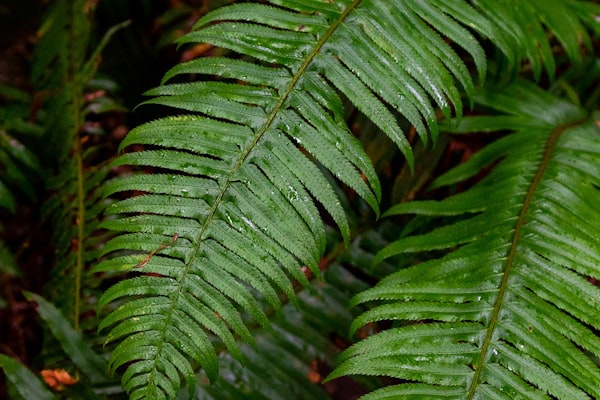 Real-time monitoring interface on construction site